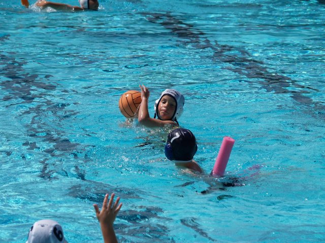 Waterpolo - offense