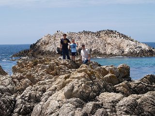 17-mile drive - bird rock