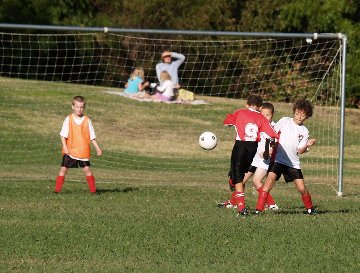 2012_Soccer_Seed_1