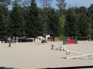 2013 Summer Horse Riding (2)